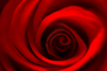 红玫瑰的缝合红色花束感情浪漫图片