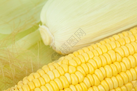 新鲜玉米鳕早餐薄片饮食玉米文化食物玉米片美食绿色收成图片