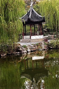 古中国古塔反省胡绿柳花园的反思背景图片