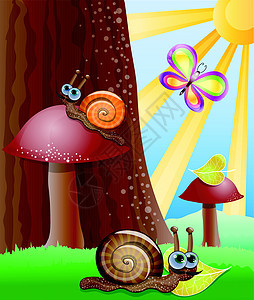 螺蜗牛的可爱图片 说明10版图片