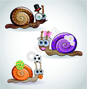 孤立可笑的蜗牛家庭图片