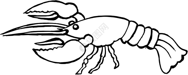 龙虾熟食美食手绘天线食物用餐奢华海鲜红色图片