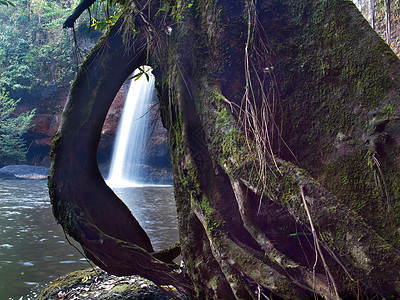 深森林的瀑布热带公园流动天堂丛林溪流石头叶子风景激流图片