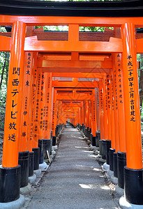 富士米伊纳里塔伊沙神社著名的明亮橙色托里门图片
