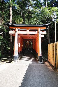 神社-日本京都图片