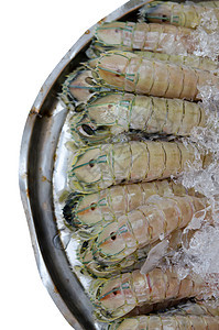 白虾海鲜营养团体贝类口足类甲壳食物美食白色动物图片
