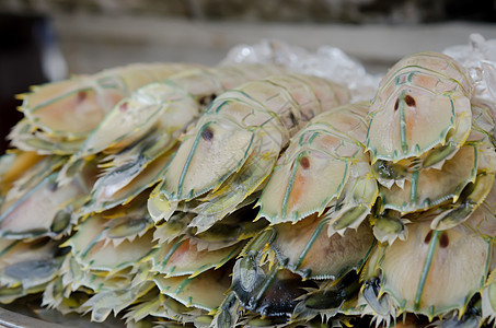 原始海产食品贝类动物美食海鲜口足类食物团体白色营养甲壳图片