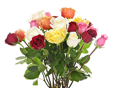 玫瑰花团黄色树叶白色粉色花朵植物群分支机构荆棘花店红色图片