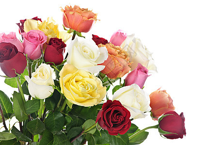 玫瑰花团花店花束植物群花朵分支机构荆棘白色黄色树叶红色图片