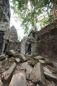 柬埔寨塔普罗姆寺庙图片