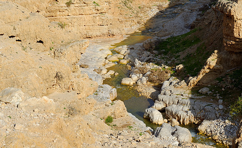 在杰里科附近Judean沙漠的Wadi Qelt或Nahal Prat小溪图片