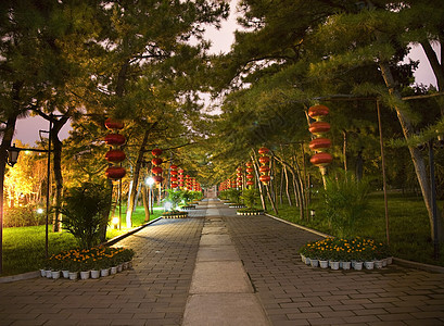 太阳公园红绿灯圣殿 中国北京夜图片