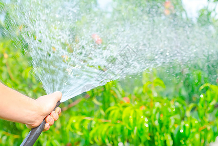 从水龙头中打水管工作浇水的花园手套工人植物群压力洒水器生长衬套边界软管工具图片