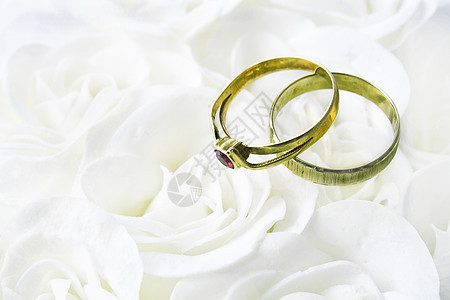 白玫瑰上两个结婚戒指图片