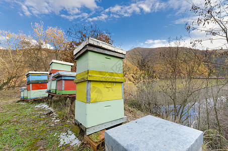 蜂蜜蜂巢箱图片