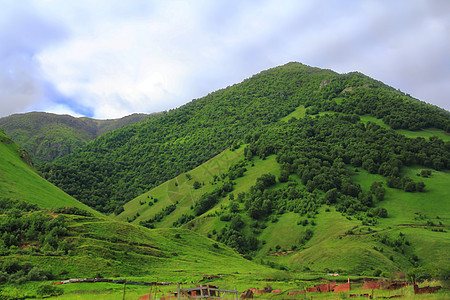 高加索绿色山脉的夏季风景景观高度全景木头绿色森林季节悬崖顶峰叶子岩石图片