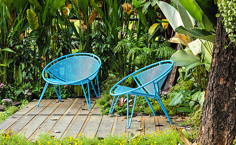 花园中的蓝椅子植物院子草地凳子场景绿色生长假期后院家具图片