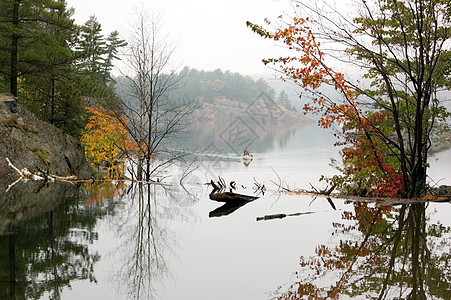 森林湖爬坡镜子云杉森林叶子薄雾反射公园海岸线树叶图片