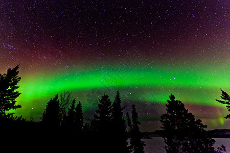 北极光或北极光的绿色光亮物理学领土地区天文磁层天文学天空森林磁场亮度图片