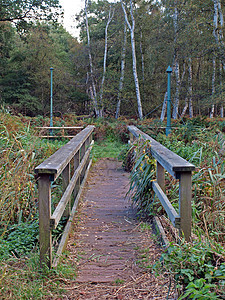 穿过霍尔梅峰的桥堤 通向柱子图片