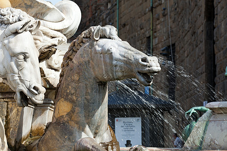 的海王星喷泉 位于意大利佛罗伦萨领主广场马匹双锥建筑学艺术雕塑雕像水螅图片