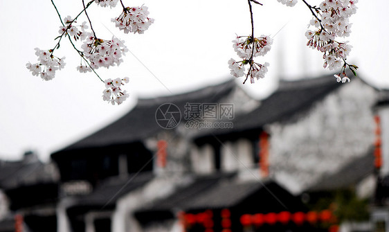 古老的Xitang村居民区民间旅游城市古村落图片