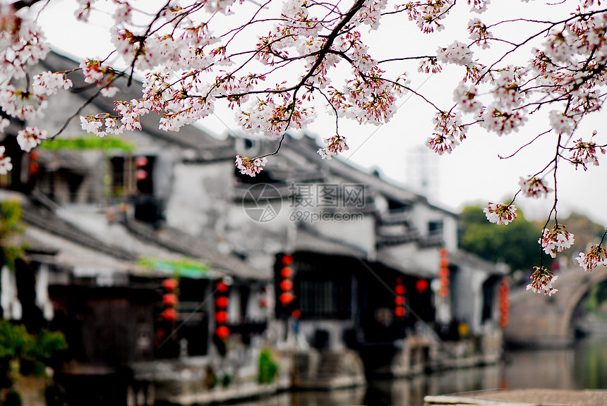 古老的Xitang村古村落居民区旅游城市民间图片