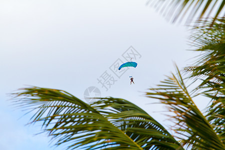 Skydiver 降落伞打开爱好天空蓝天飞行危险伞兵跳跃乐趣漂浮快感图片