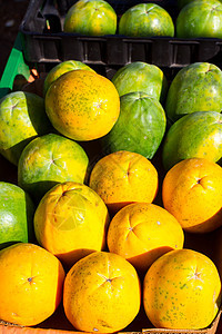 木瓜和芒果水果食物农贸市场市场热带农产品生产图片