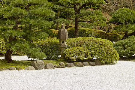 石头园佛教徒石头寺庙岩石樱花植物群花园植物艺术苔藓图片