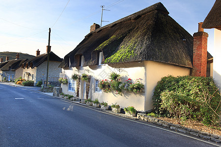 卢沃斯Lulworth村的棚屋风景英语建筑稻草建筑学茅草乡村房子小屋图片