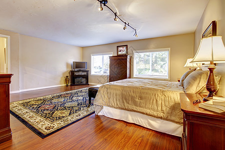 大卧室 有硬木地板和两件梳妆台免版税建筑公寓照片设计师房地产建筑学房子枕头房间图片