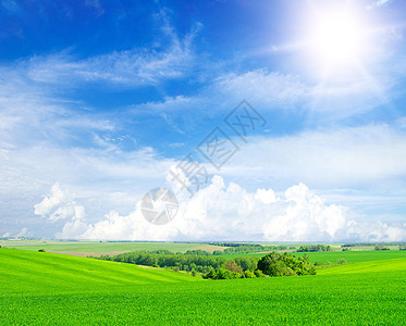绿地和蓝天空农村阳光牧场场景天空场地季节植物生长天气图片