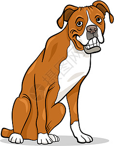 框框纯种狗卡通插图鼻子棕色白色小狗吉祥物绘画尾巴拳击手宠物快乐图片