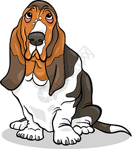 Basset 猎犬狗漫画插图鼻子尾巴褶皱小狗犬类绘画猎犬卡通片宠物棕色图片