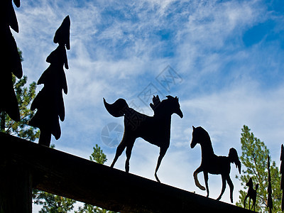 无标题动物绿色黑色艺术国家晴天马术松树蓝色小马背景图片