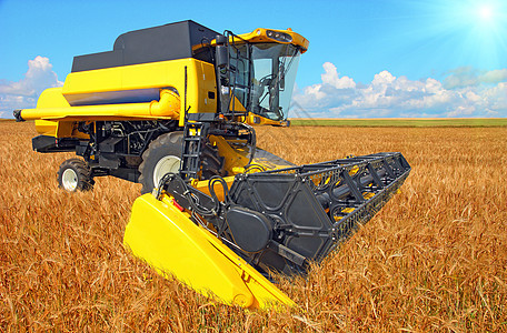 在蓝色天空的小麦田上合并收割器收获粮食农村土地小麦面粉力量玉米国家食物图片