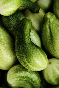 绿黄瓜 背景店铺农业植物健康团体饮食食物收成市场小吃图片