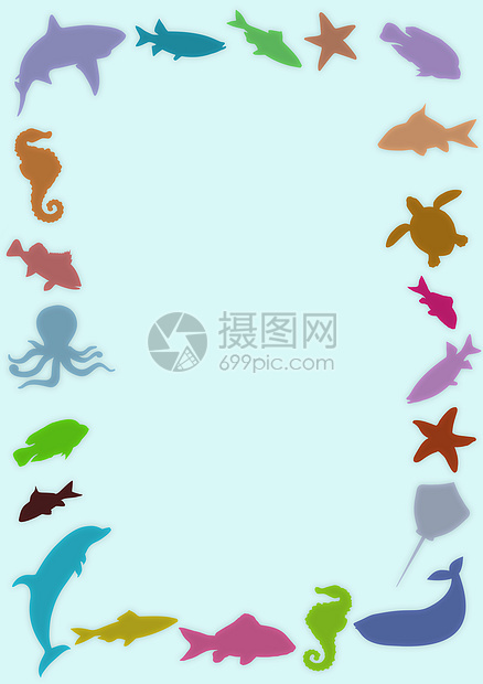 海洋框架章鱼海星插图动物海马野生动物荒野边界鲨鱼图片