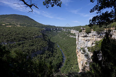 埃布罗河河布尔戈斯 卡斯蒂利亚莱昂 西班牙衬套树木绿色山沟峡谷灌木背景