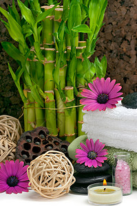 Sppa 概念毛巾健康沙龙蜡烛植物卵石雏菊石头浴盐芳香背景图片
