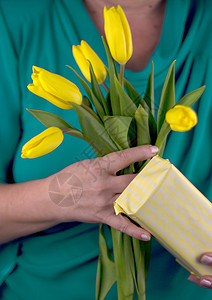 黄色的花带黄色郁金香的成年女子的手背景