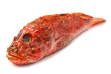 红鱼盘子美食烹饪牛扒红色食物眼睛海洋橙子市场图片