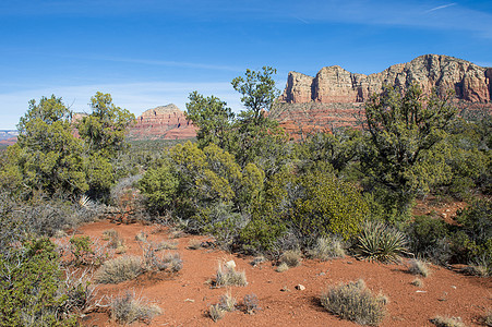 塞多纳全景峡谷编队植物砂岩沙漠地质学岩石风景悬崖图片