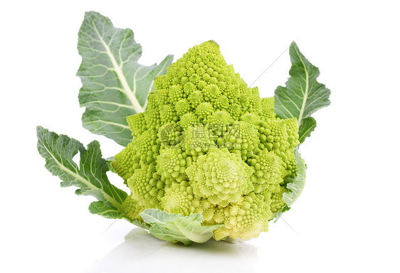 罗曼尼斯科花椰菜卷心菜 白种背景孤立绿色蔬菜食物菜花白色季节产品健康植物图片