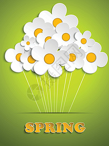 美丽的春天白花之春背景装饰环境植物橙子玫瑰生态花束花瓣标签花园图片