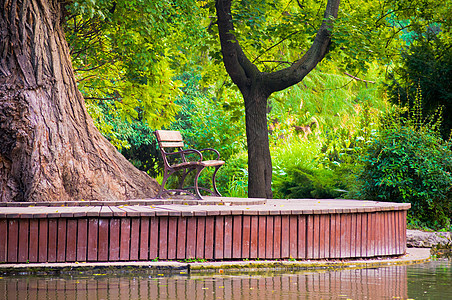 日本花园花园公园绿色池塘图片