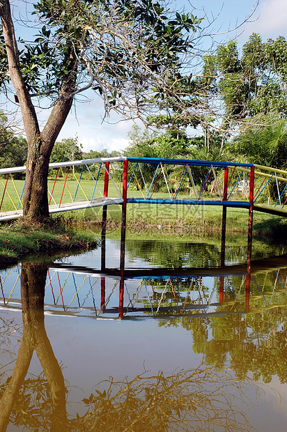 有池塘和桥梁的花园环境季节闲暇小路长椅场景植物晴天木头蓝色图片
