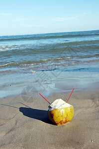 沙滩上带稻草的年轻椰子图片