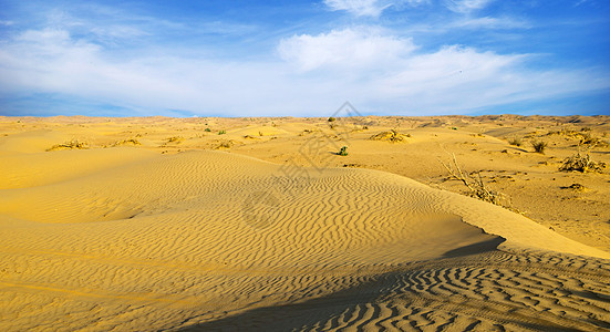 沙漠景观蓝色阳光谷物天空干旱土地沙丘小丘太阳涟漪图片